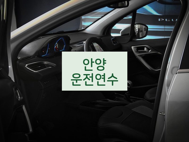 안양운전연수 후기
