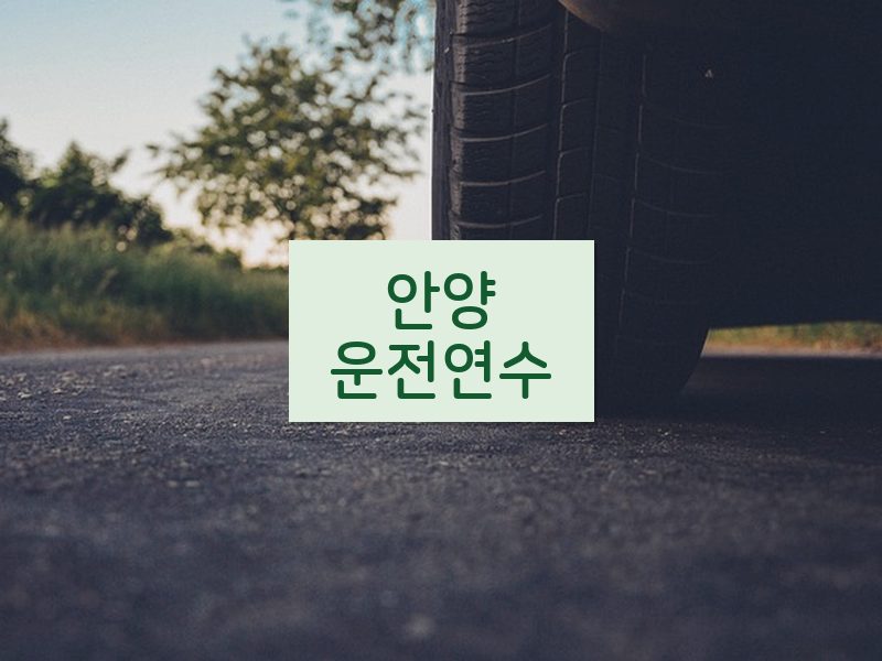 안양운전연수 후기