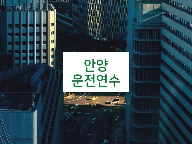 안양운전연수 후기