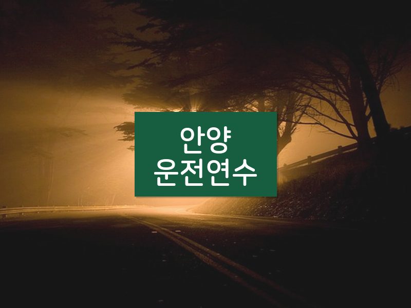 안양운전연수 후기