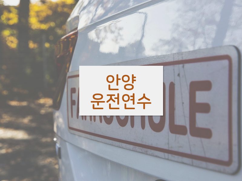 안양운전연수 후기