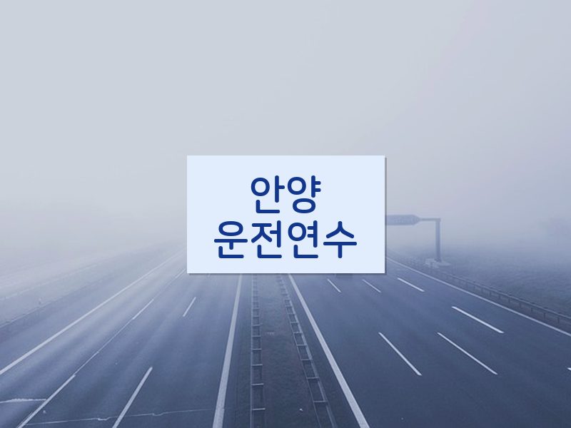 안양운전연수 후기
