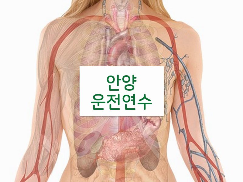 안양운전연수 후기
