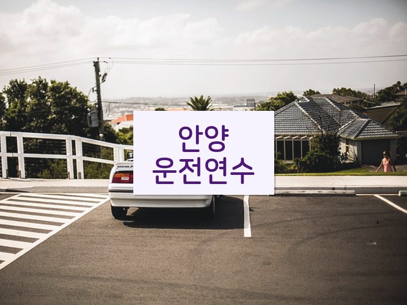안양운전연수 후기