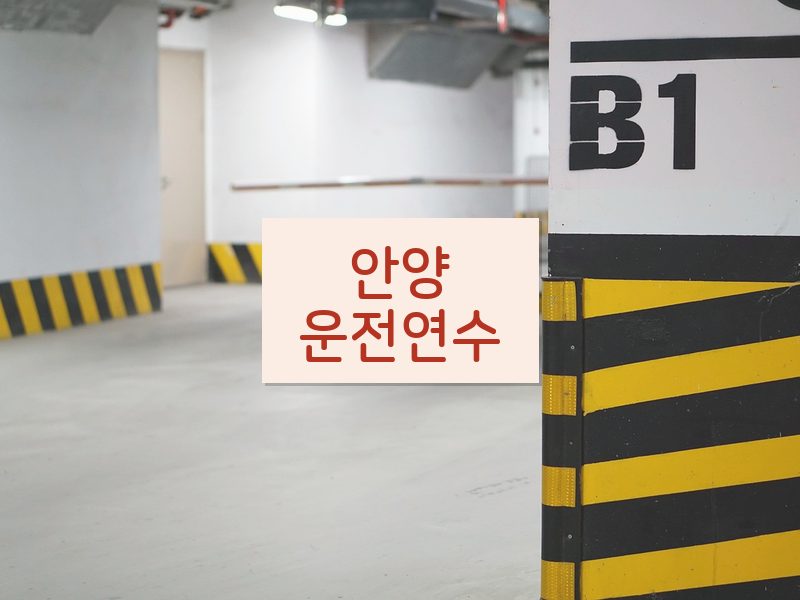 안양운전연수 후기