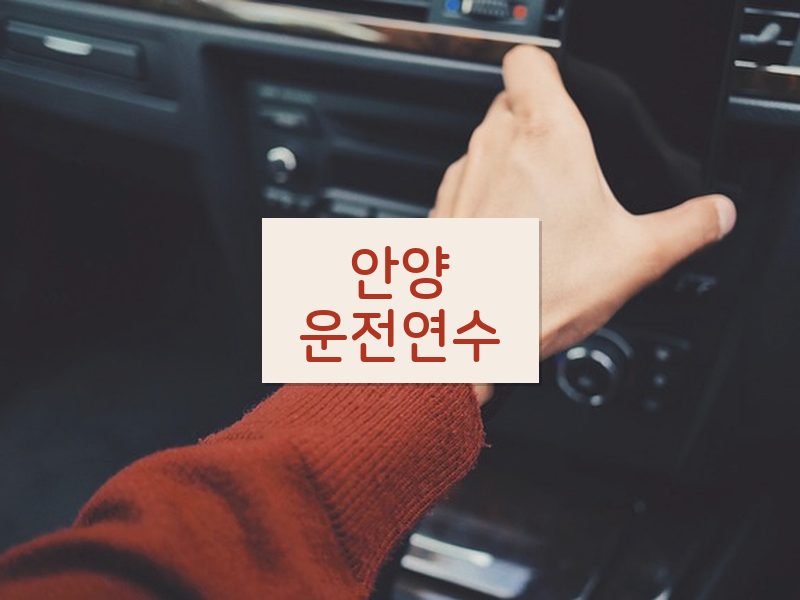 안양운전연수 후기