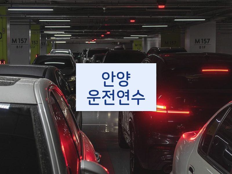 안양운전연수 후기