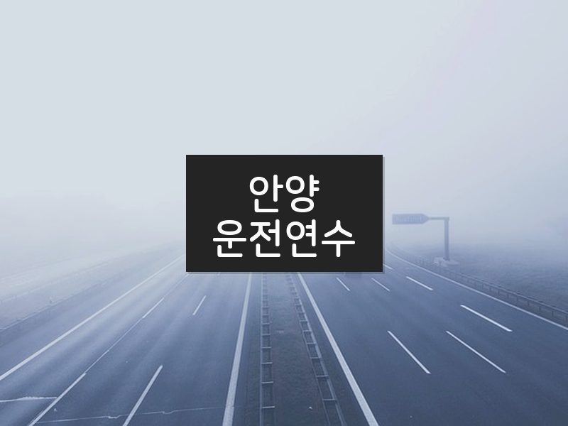안양운전연수 후기