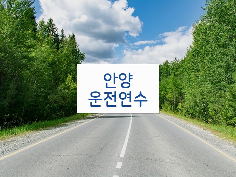 안양운전연수 후기