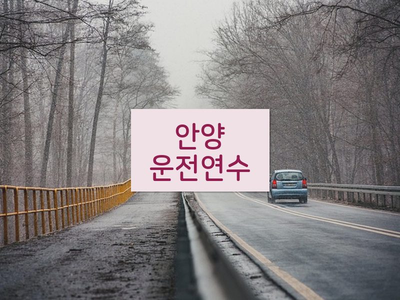 안양운전연수 후기