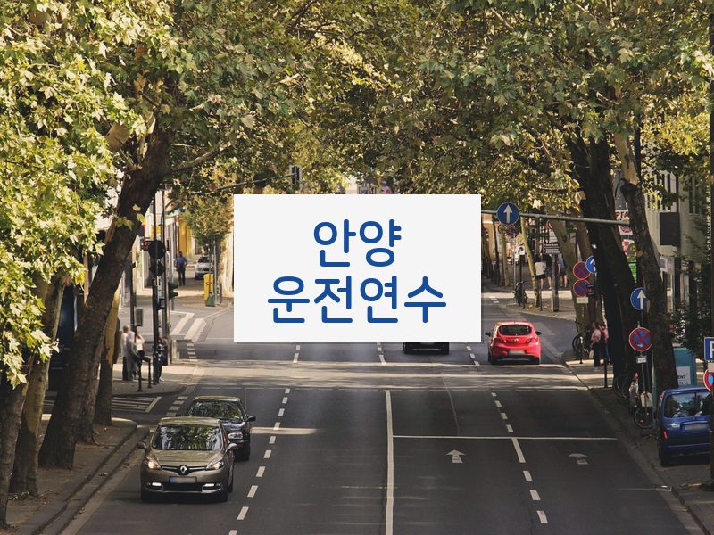 안양운전연수 후기