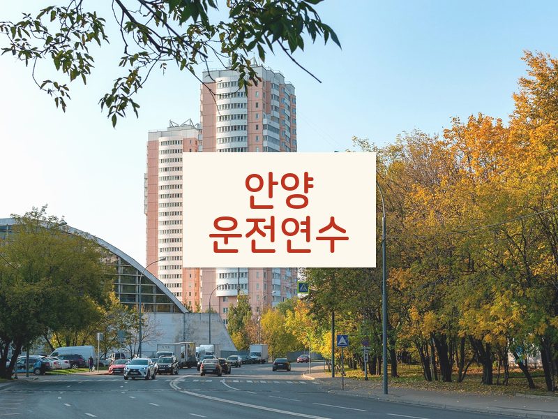 안양운전연수 후기