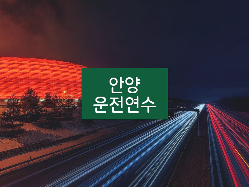 안양운전연수 후기