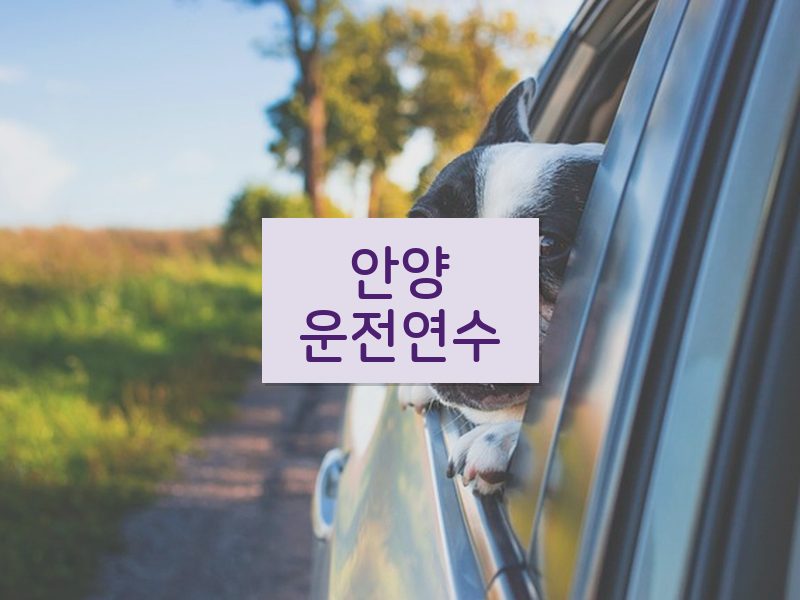 안양운전연수 후기