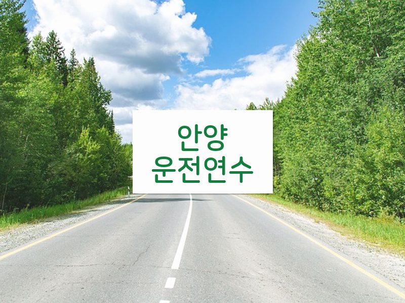 안양운전연수 후기