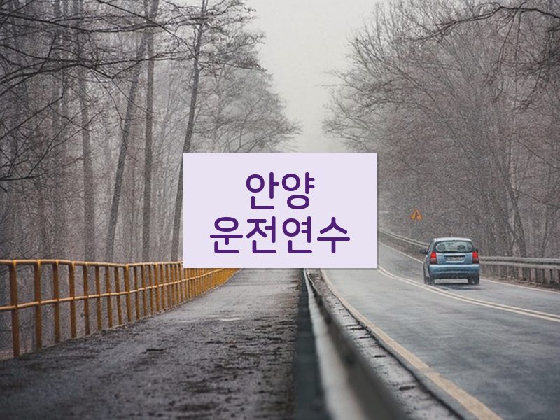 안양운전연수 후기