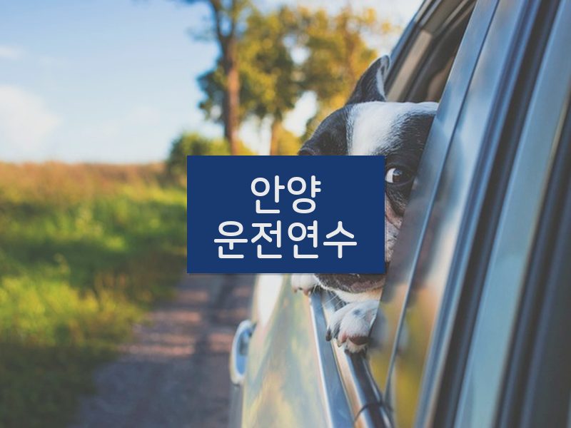 안양운전연수 후기