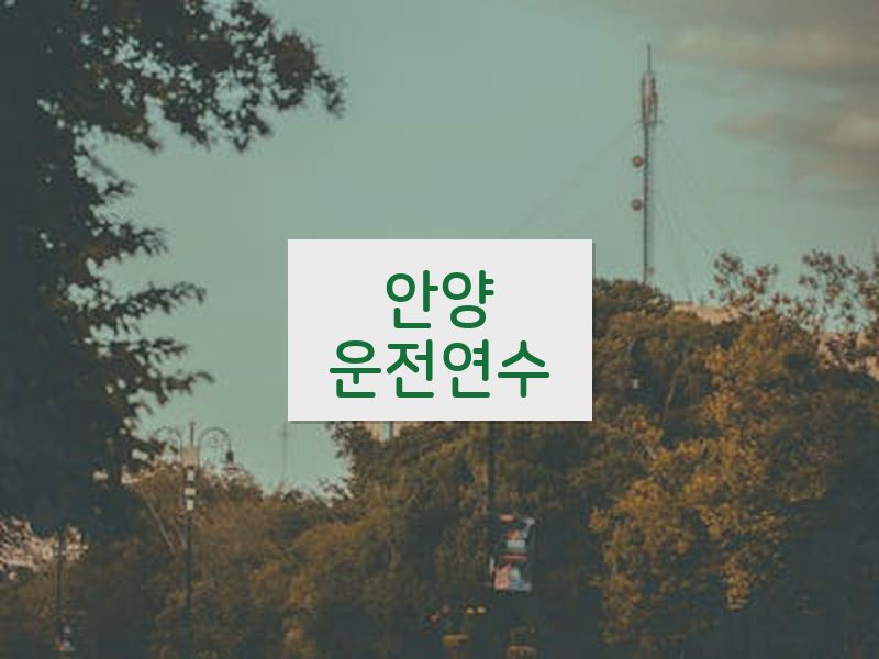 안양운전연수 후기