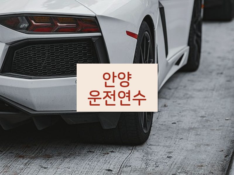 안양운전연수 후기