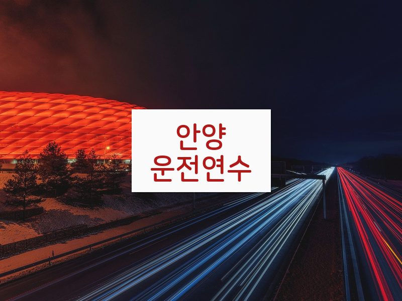 안양운전연수 후기