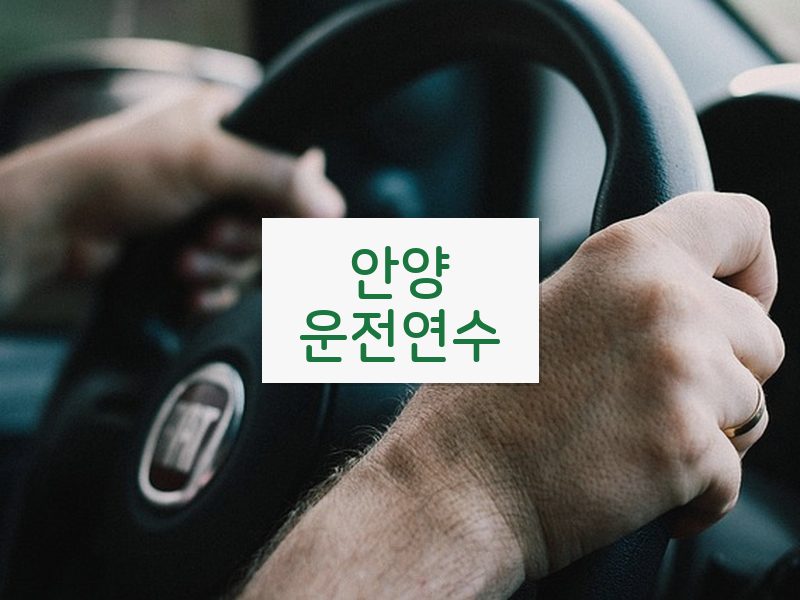 안양운전연수 후기