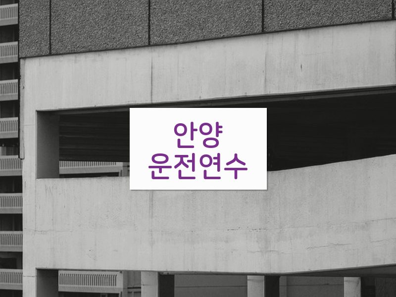 안양운전연수 후기