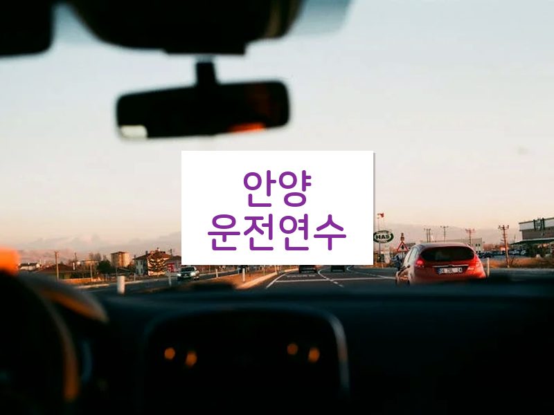 안양운전연수 후기