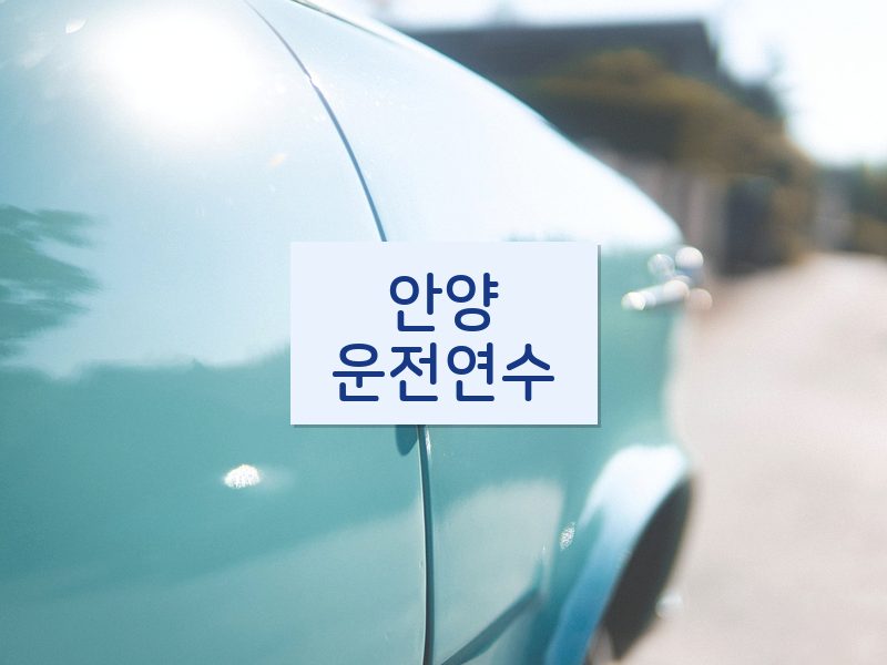 안양운전연수 후기