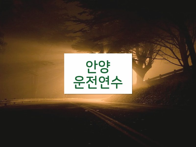 안양운전연수 후기