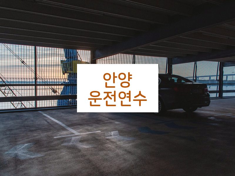 안양운전연수 후기