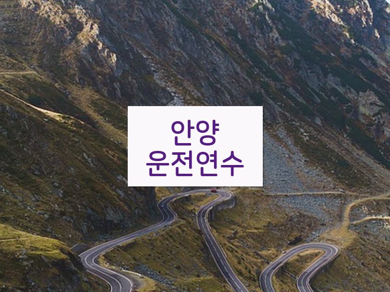 안양운전연수 후기