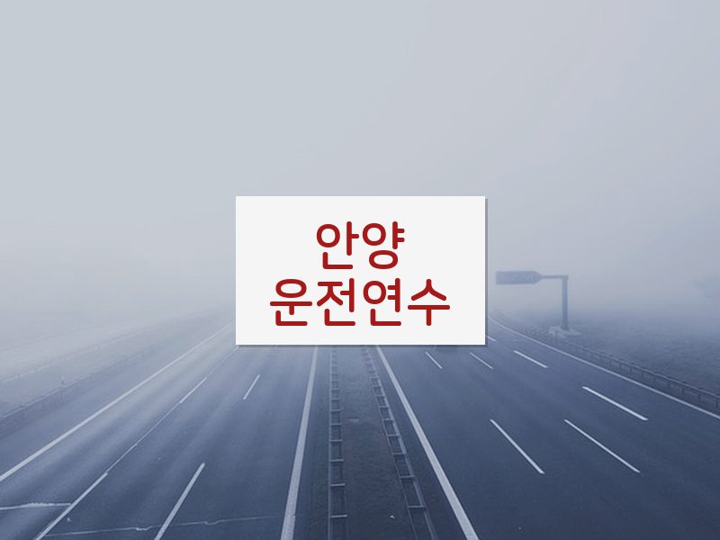 안양운전연수 후기