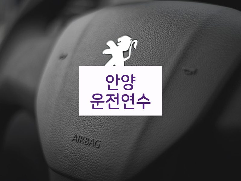 안양운전연수 후기