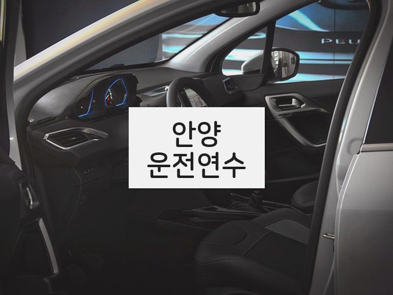 안양운전연수 후기