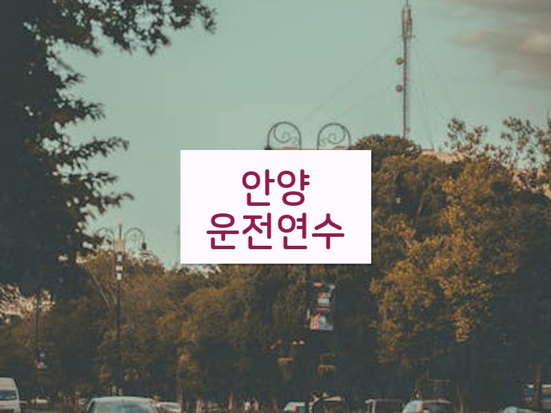 안양운전연수 후기