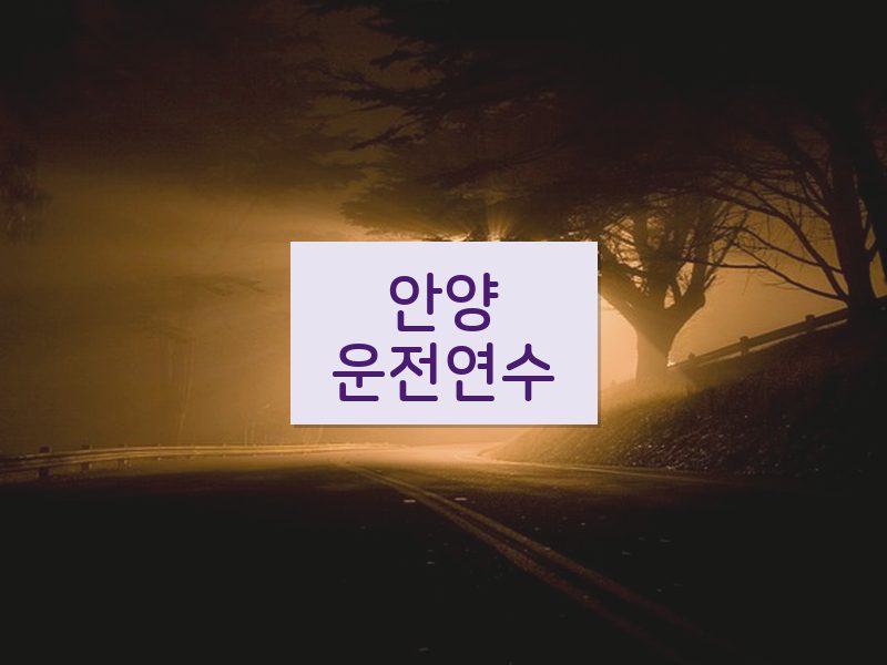 안양운전연수 후기