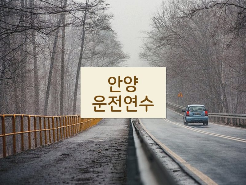 안양운전연수 후기