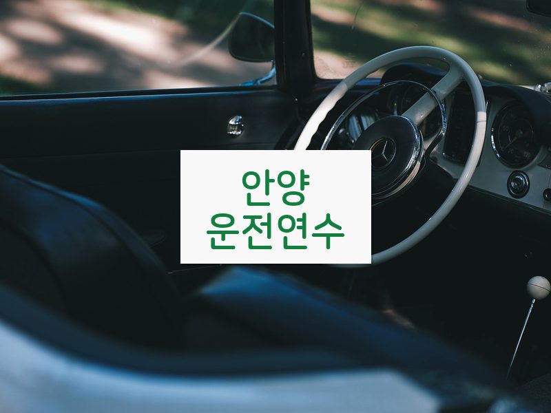 안양운전연수 후기