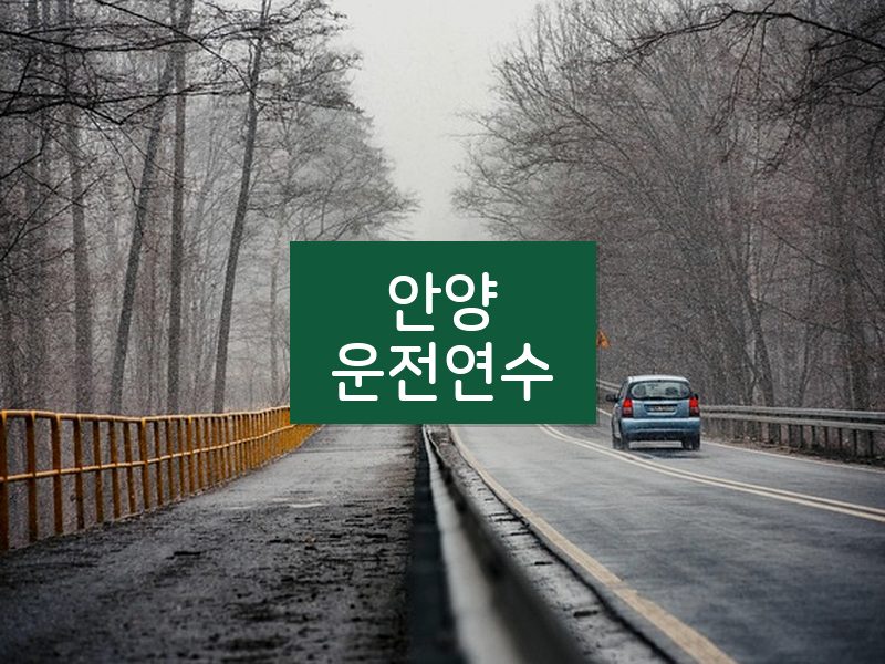 안양운전연수 후기