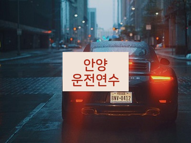 안양운전연수 후기
