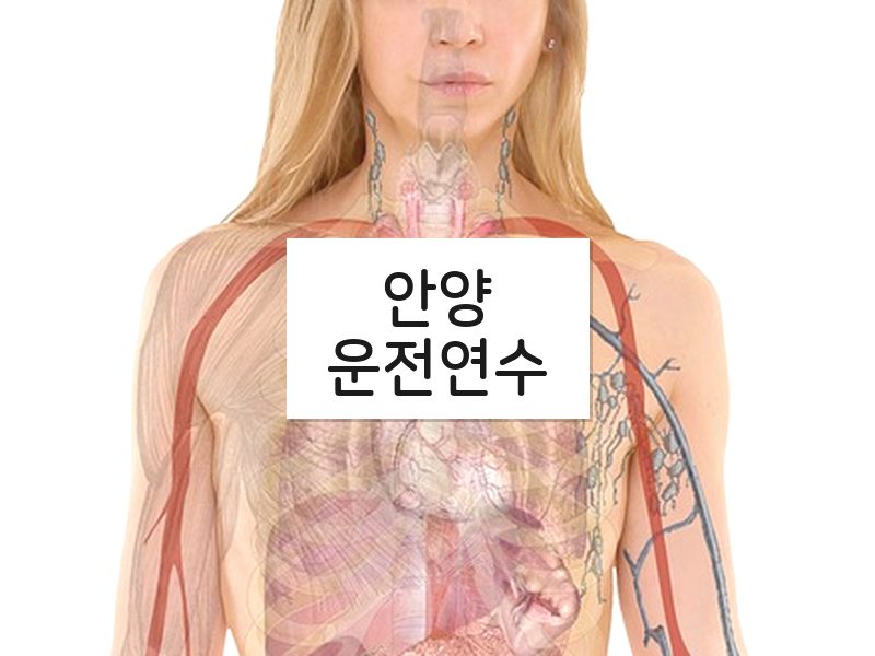 안양운전연수 후기