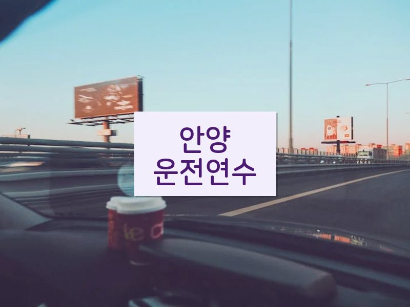 안양운전연수 후기