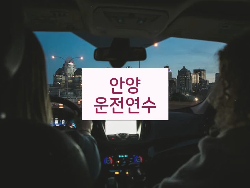 안양운전연수 후기
