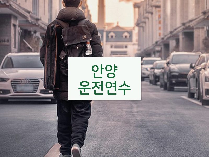 안양운전연수 후기
