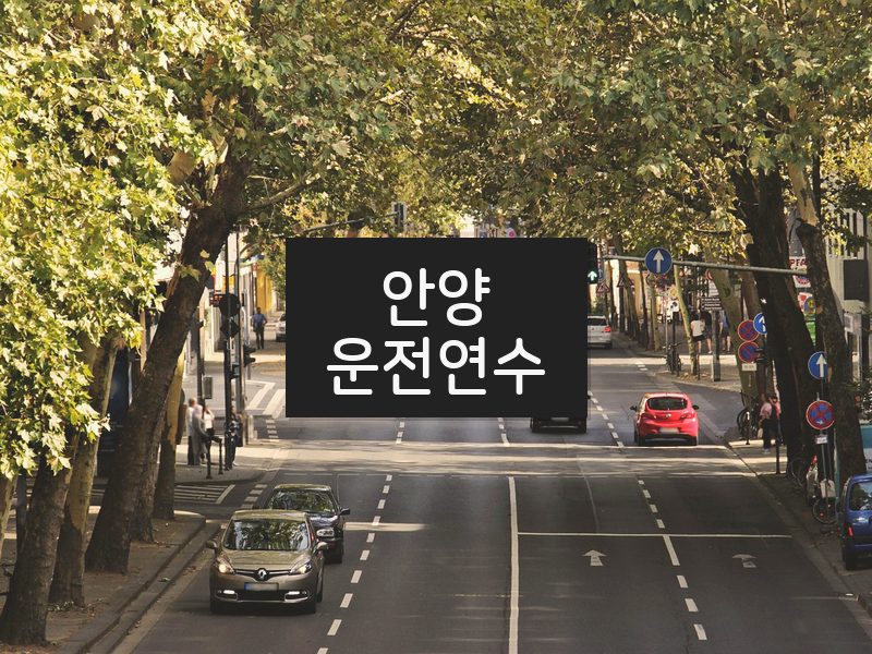 안양운전연수 후기