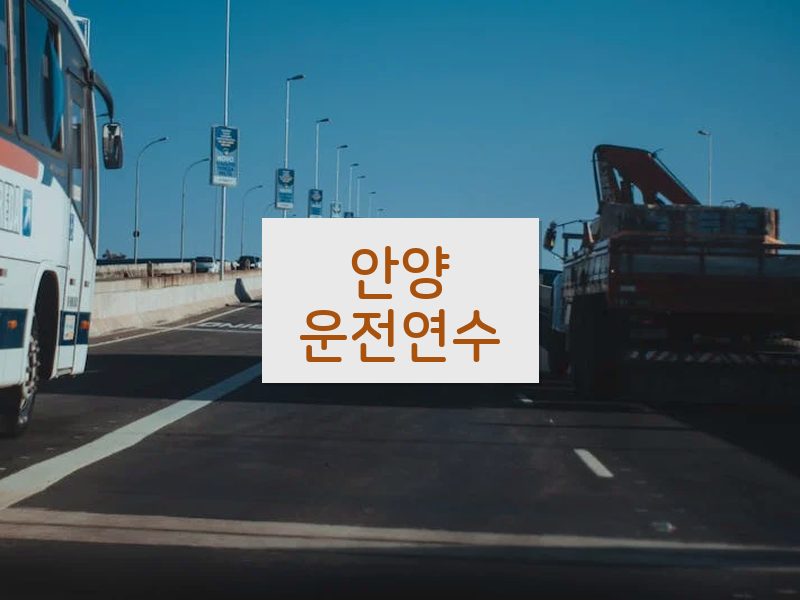 안양운전연수 후기