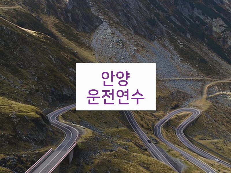 안양운전연수 후기