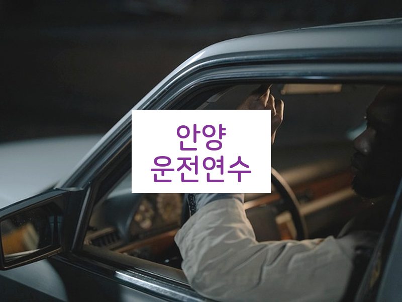안양운전연수 후기