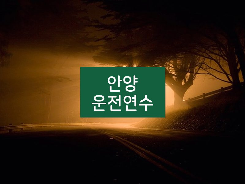 안양운전연수 후기