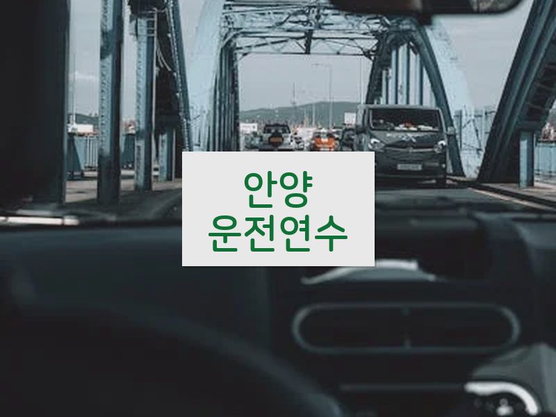 안양운전연수 후기